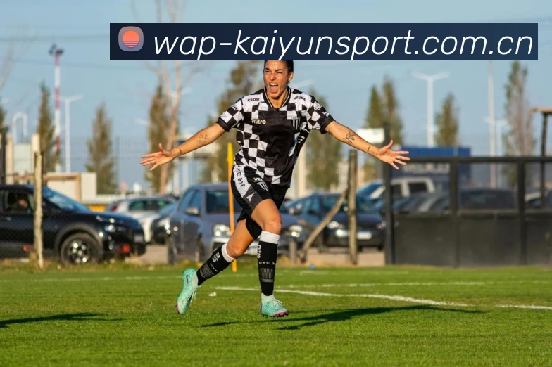 开云体育平台生态图