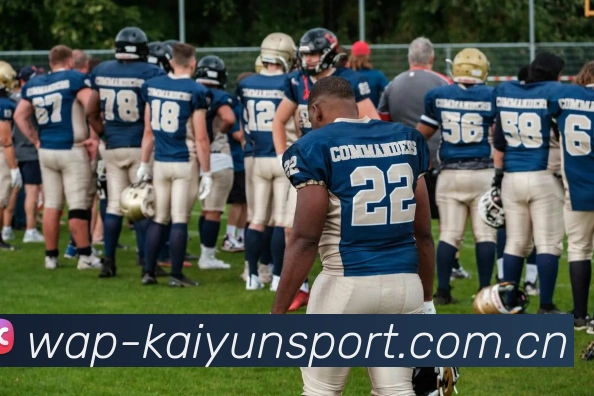 开云体育APP 封面图